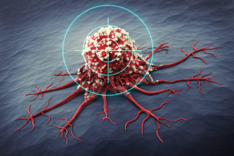 Molecular Targeted Therapies