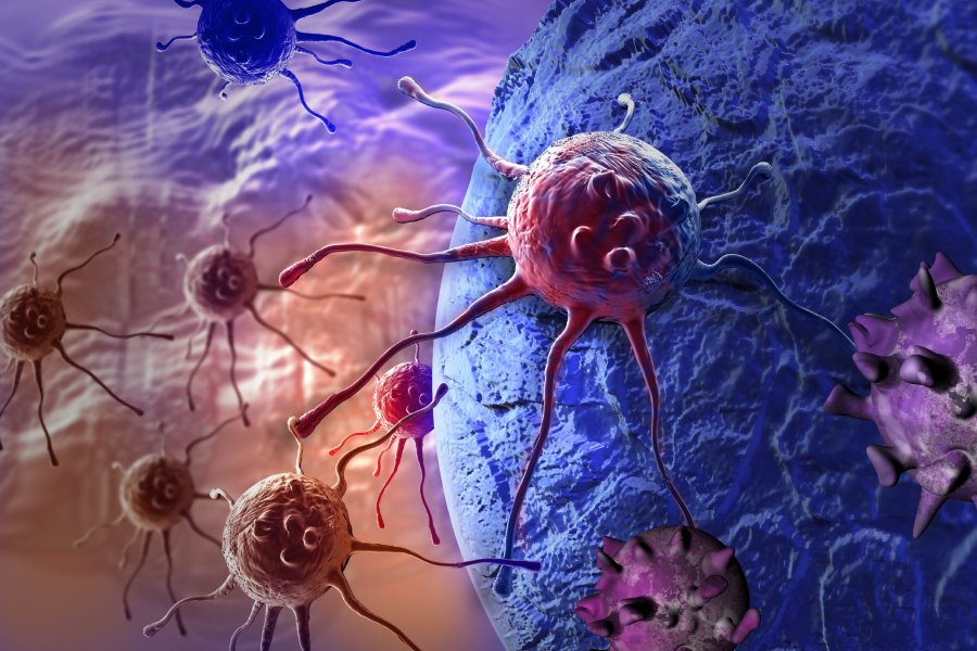 Cancer cells being targeted by precision medicine – Targeted Therapy Treatment in Pune