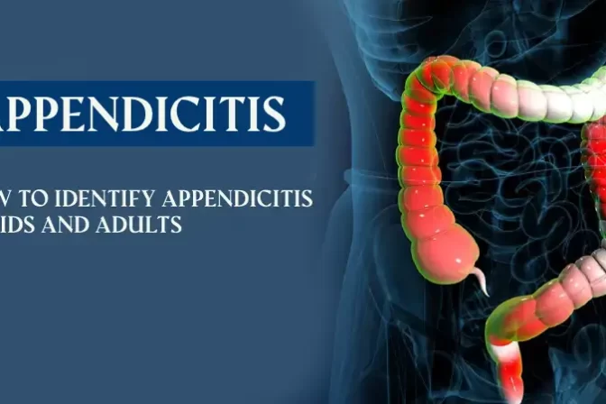How to Identify Appendicitis in Kids and Adults – Visual of inflamed appendix in human body