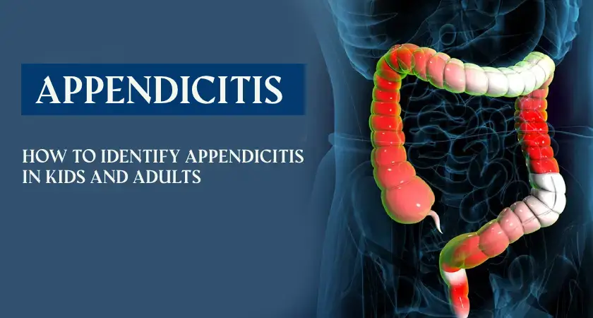 How to Identify Appendicitis in Kids and Adults – Visual of inflamed appendix in human body